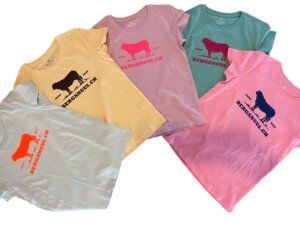 TShirt